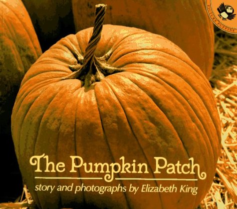 Book cover for The Pumpkin Patch