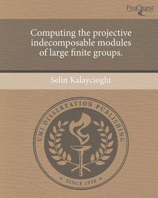 Book cover for Computing the Projective Indecomposable Modules of Large Finite Groups.