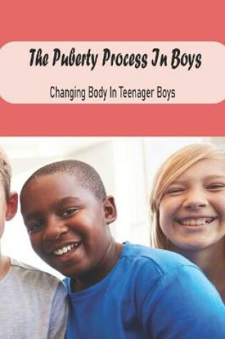 Cover of The Puberty Process In Boys