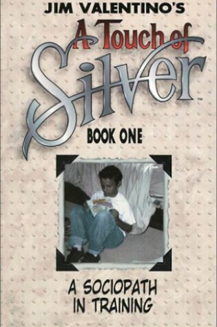 Cover of Touch Of Silver Book 1