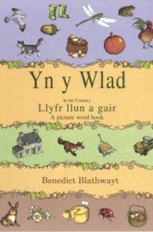Cover of Yn y Wlad / In the Country