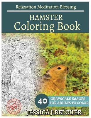 Book cover for HAMSTER Coloring book for Adults Relaxation Meditation Blessing