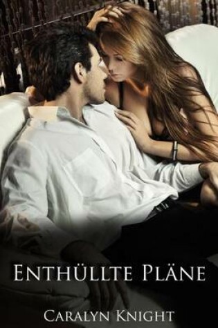 Cover of Enthullte Plane