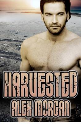 Book cover for Harvested