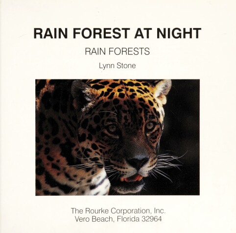 Book cover for Rain Forest at Night