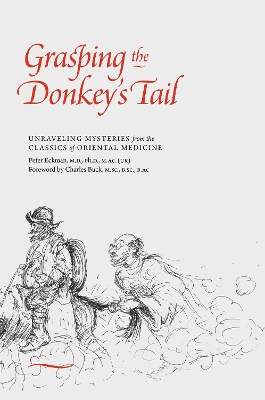 Cover of Grasping the Donkey's Tail