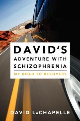 Cover of David's Adventure with Schizophrenia