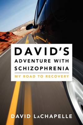 Book cover for David's Adventure with Schizophrenia