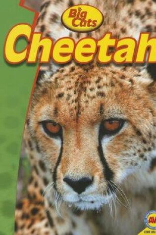 Cover of Cheetah