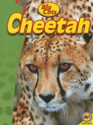 Cover of Cheetah