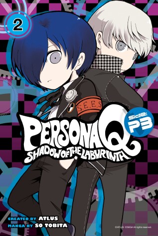 Book cover for Persona Q: Shadow Of The Labyrinth Side: P3 Volume 2