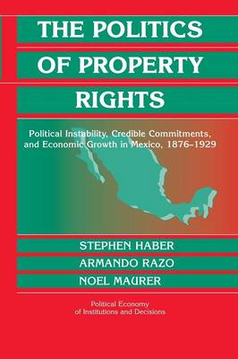 Book cover for The Politics of Property Rights