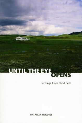 Cover of Until the Eye Opens: Writings from Blind Faith