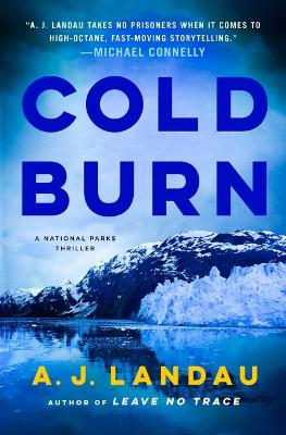 Book cover for Cold Burn