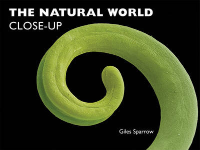 Book cover for The Natural World Close-Up