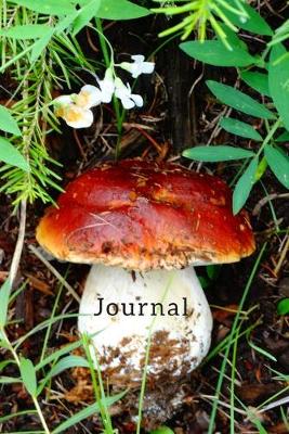 Book cover for Wild Fairy Fungi Mushroom hunter's Journal for Daily Thoughts Notebook Cute Diary for Outdoor People
