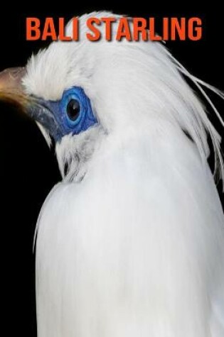 Cover of Bali Starling