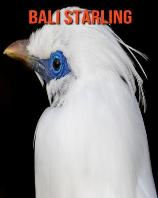 Book cover for Bali Starling