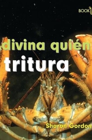 Cover of Adivina Quién Tritura (Guess Who Snaps)