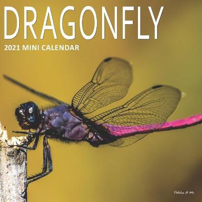 Book cover for Dragonfly