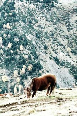 Book cover for Horses Notebook