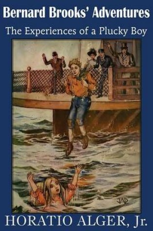 Cover of Bernard Brooks' Adventures, the Experience of a Plucky Boy
