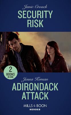 Book cover for Security Risk / Adirondack Attack