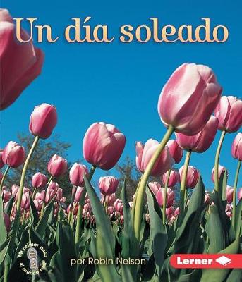 Book cover for Un Dia Soleado (a Sunny Day)