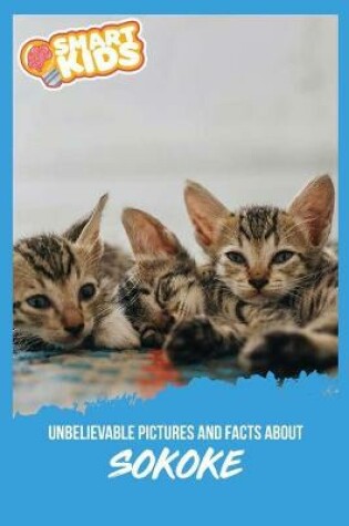 Cover of Unbelievable Pictures and Facts About Sokoke Cats