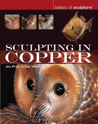 Book cover for Sculpting in Copper
