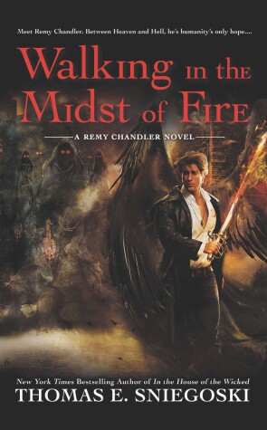 Book cover for Walking in the Midst of Fire