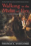 Book cover for Walking in the Midst of Fire