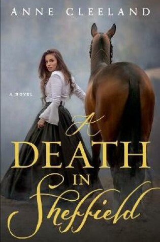 Cover of A Death in Sheffield