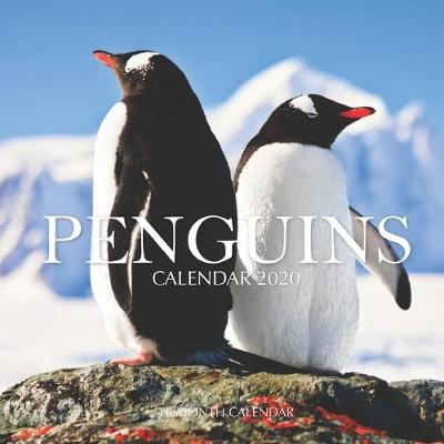 Book cover for Penguins Calendar 2020