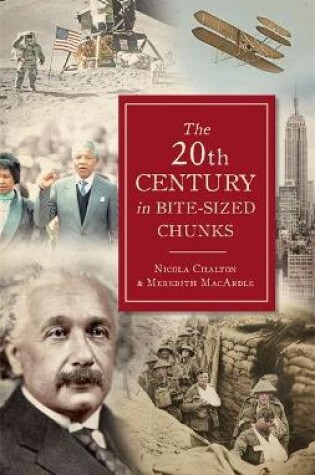 Cover of The 20th Century in Bite-Sized Chunks