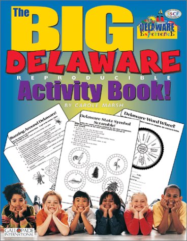 Book cover for The Big Delaware Activity Book!