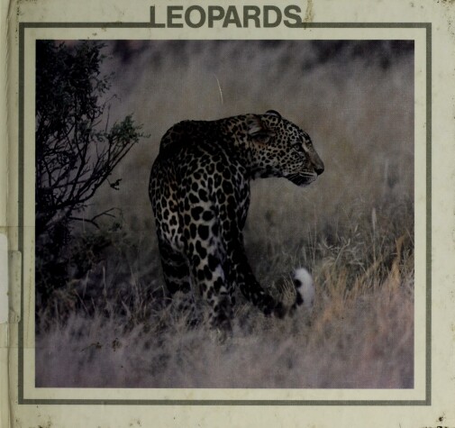 Cover of The Leopard