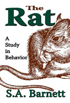 Book cover for The Rat