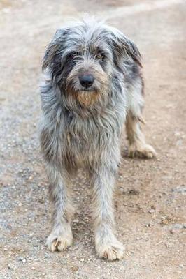 Book cover for The Bergamasco Dog Journal