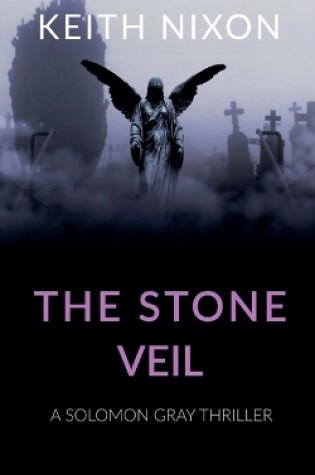 Cover of The Stone Veil