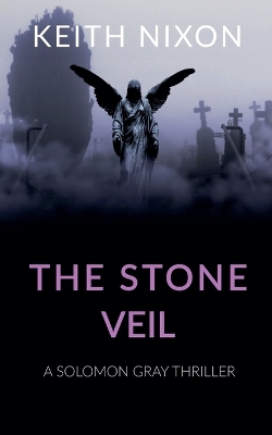 Book cover for The Stone Veil