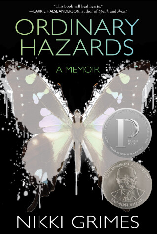 Cover of Ordinary Hazards