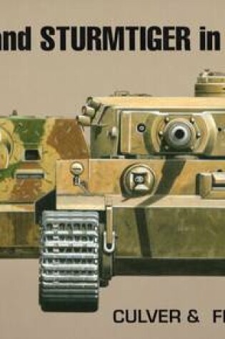 Cover of Tiger I and Sturmtiger in Detail