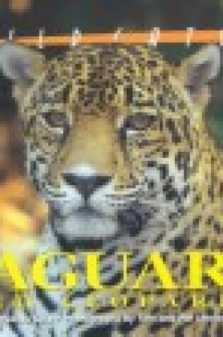 Cover of Jaguars and Leopards