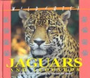 Cover of Jaguars and Leopards