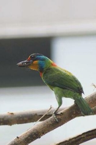 Cover of Muller's Barbet Bird Journal