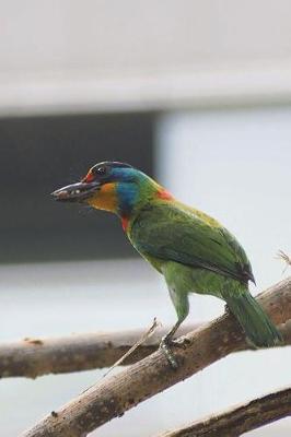 Book cover for Muller's Barbet Bird Journal