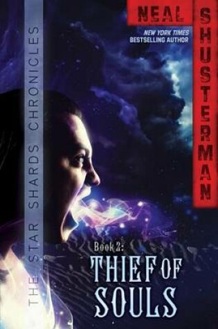 Cover of Thief of Souls