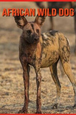 Cover of African wild dog