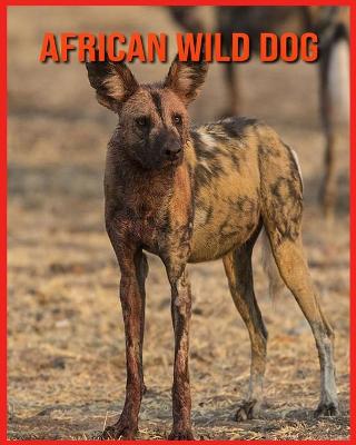 Book cover for African wild dog